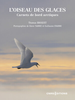cover image of L'oiseau des glaces--Carnets de bord arctiques